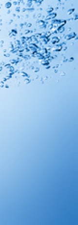 Service accueil (2)
